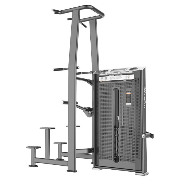 DIP & CHIN ASSIST MACHINE