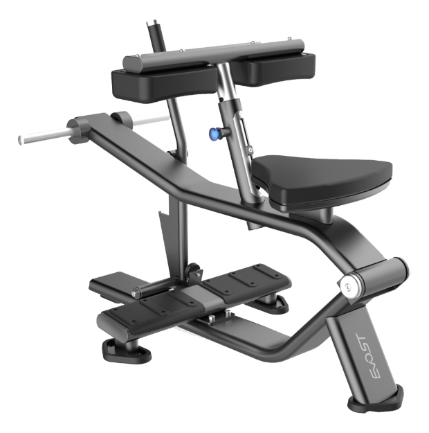 SEATED CALF MACHINE